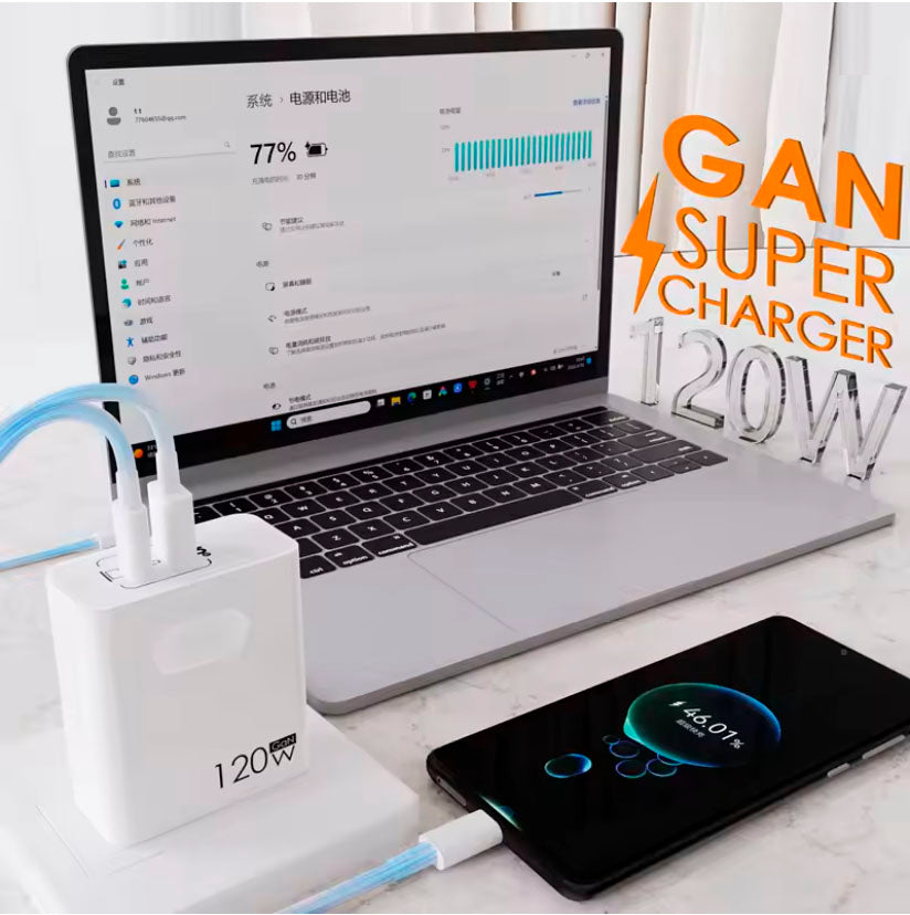 Cargador de 20W